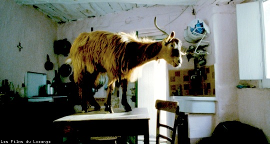 le-quattro-volte-52981