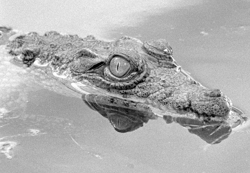 Capture d’écran 2012-12-05 à 23.35.21